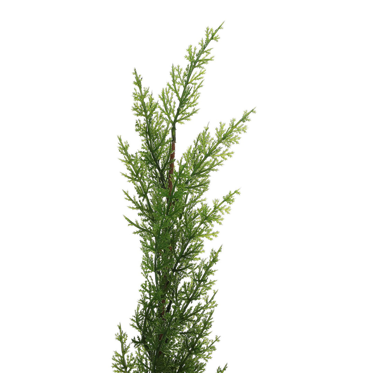 Simulation of Cypress Branches Leaves Simulation Plants for Home Decoration