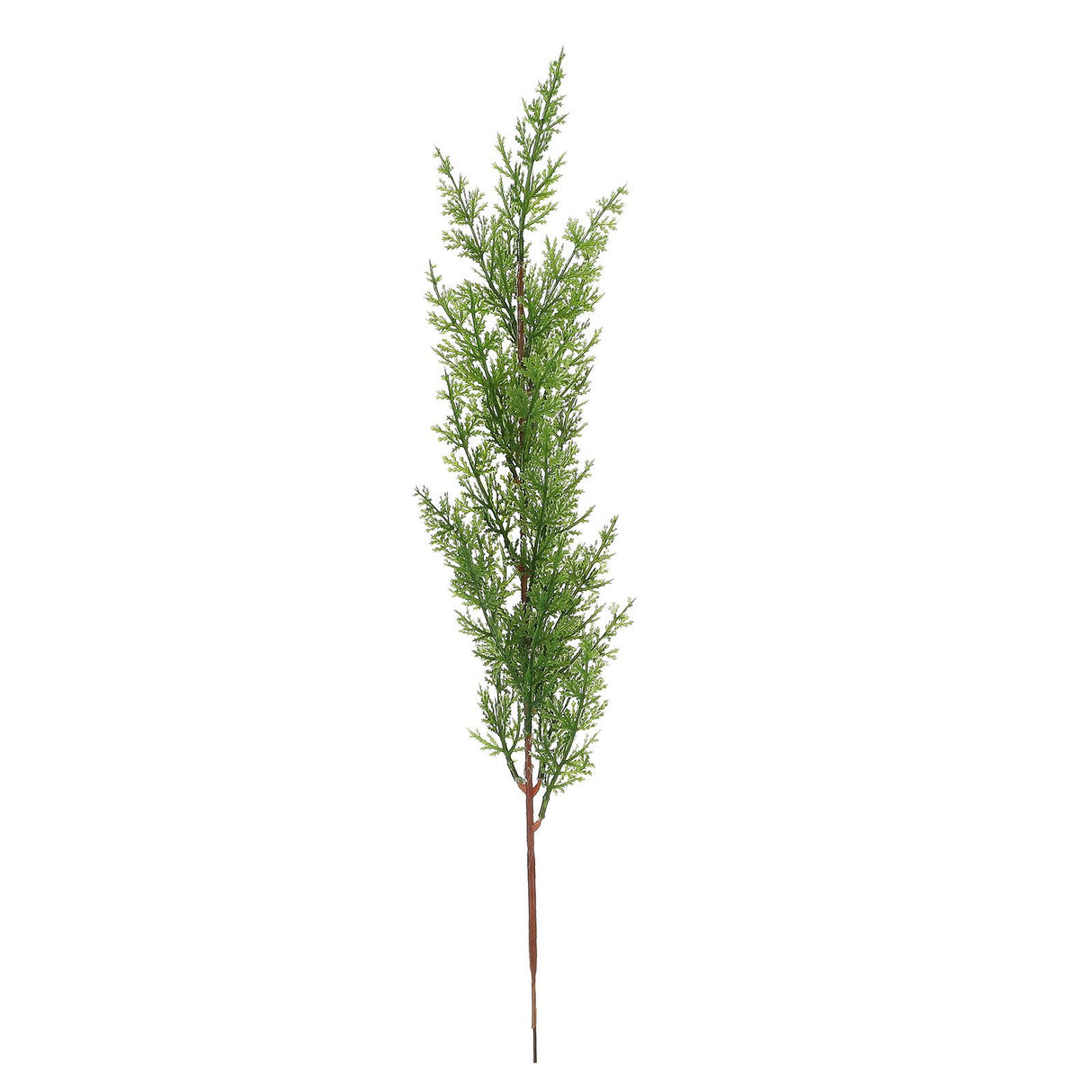 Simulation of Cypress Branches Leaves Simulation Plants for Home Decoration