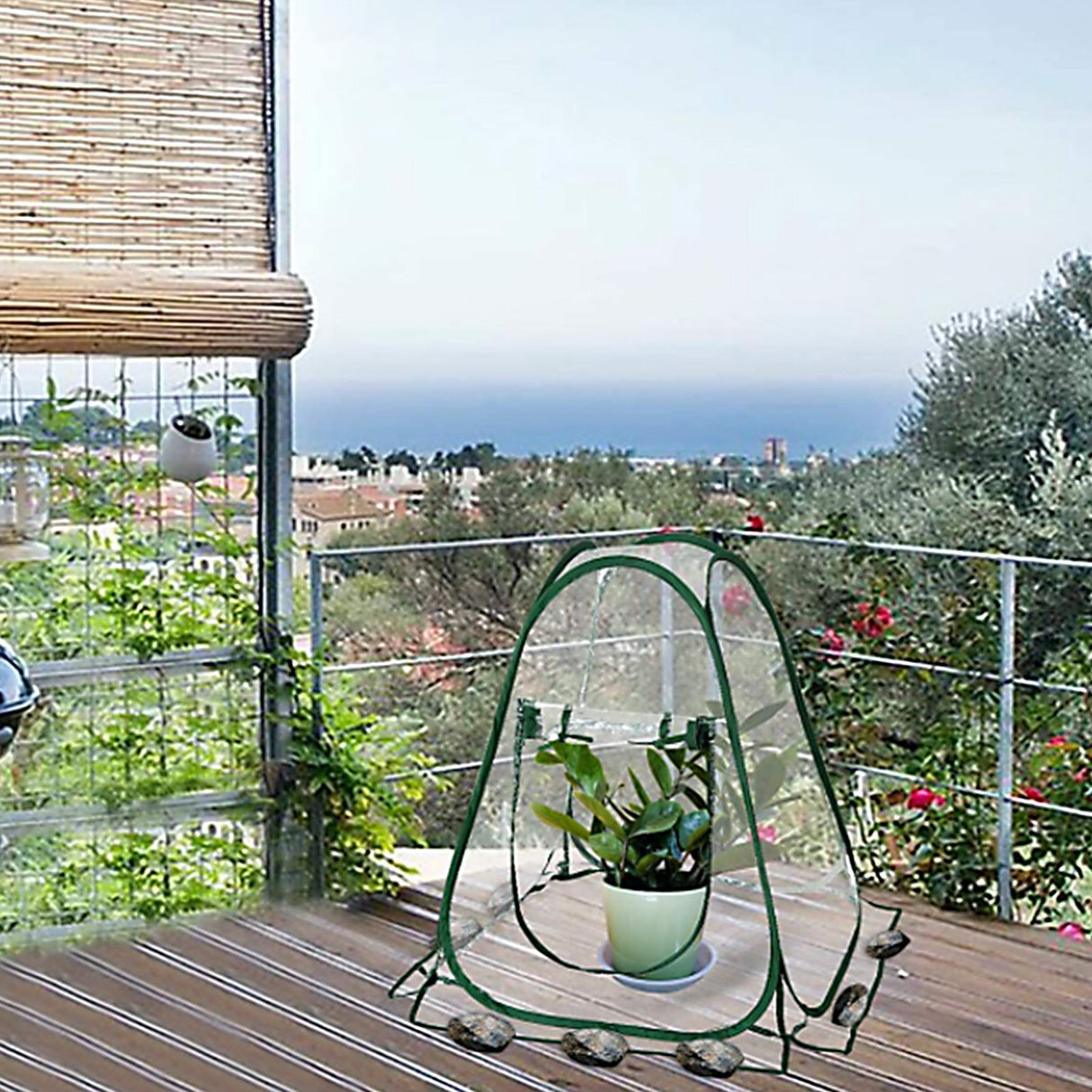Foldable Portable Mini Home Garden Greenhouse Succulent Flower Warm Cover Windproof Rainproof Greenhouse
