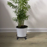 Mobile Flower Stand with Universal Wheels Metal Movable Flower Pot Stand - Extra Image