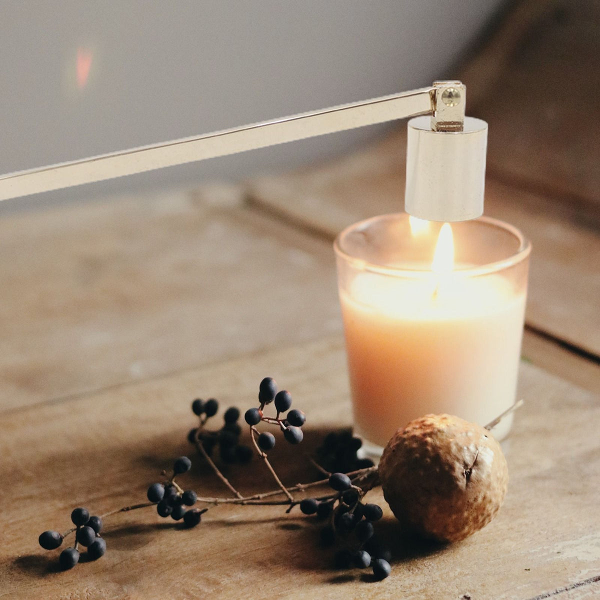 Candle Wick Snuffer Stainless Steel Wick Flame Snuffer Vintage Extinguisher with Long Handle