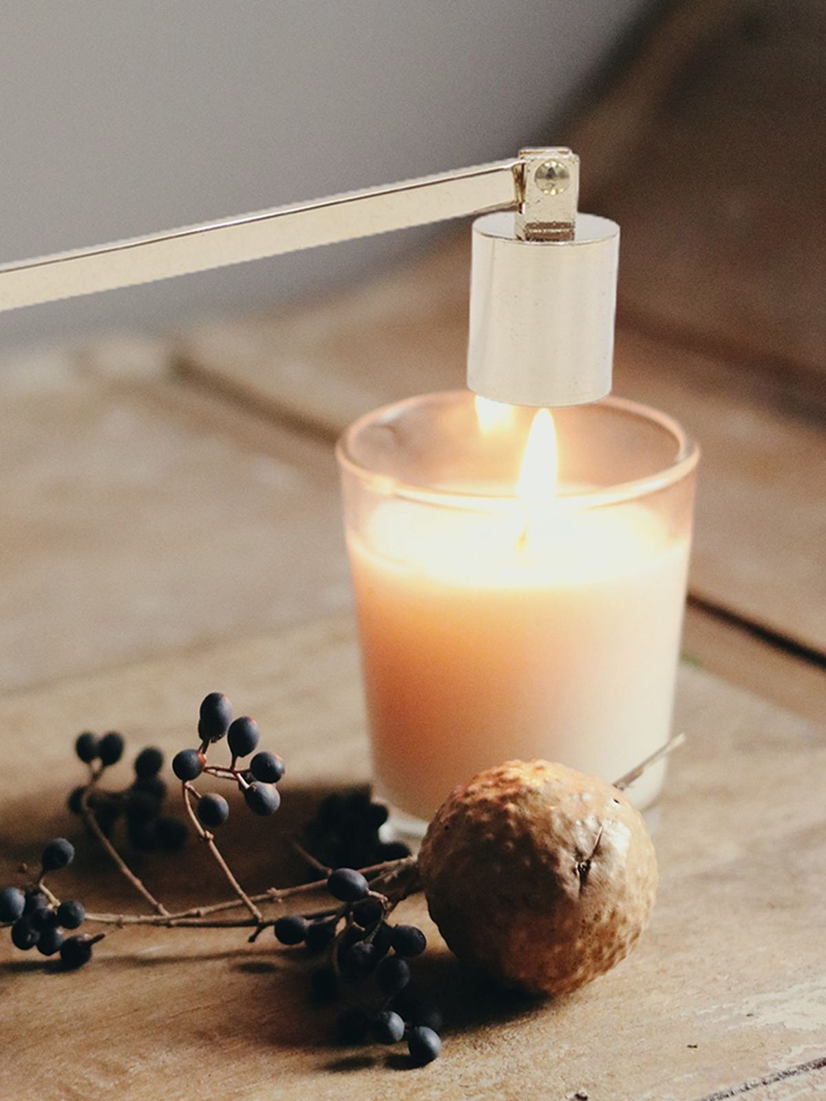 Candle Wick Snuffer Stainless Steel Wick Flame Snuffer Vintage Extinguisher with Long Handle