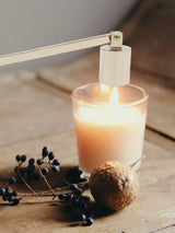 Candle Wick Snuffer Stainless Steel Wick Flame Snuffer Vintage Extinguisher with Long Handle