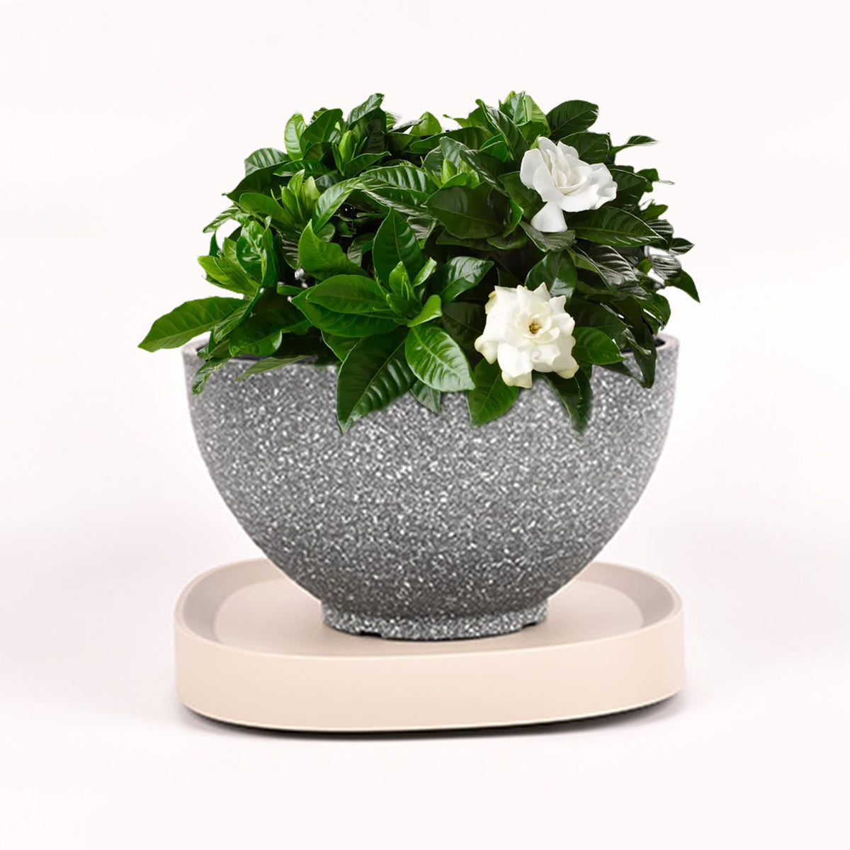 Mobile Flower Pot Tray Durable Wheels Plant Tray Planter Tray with Wheels