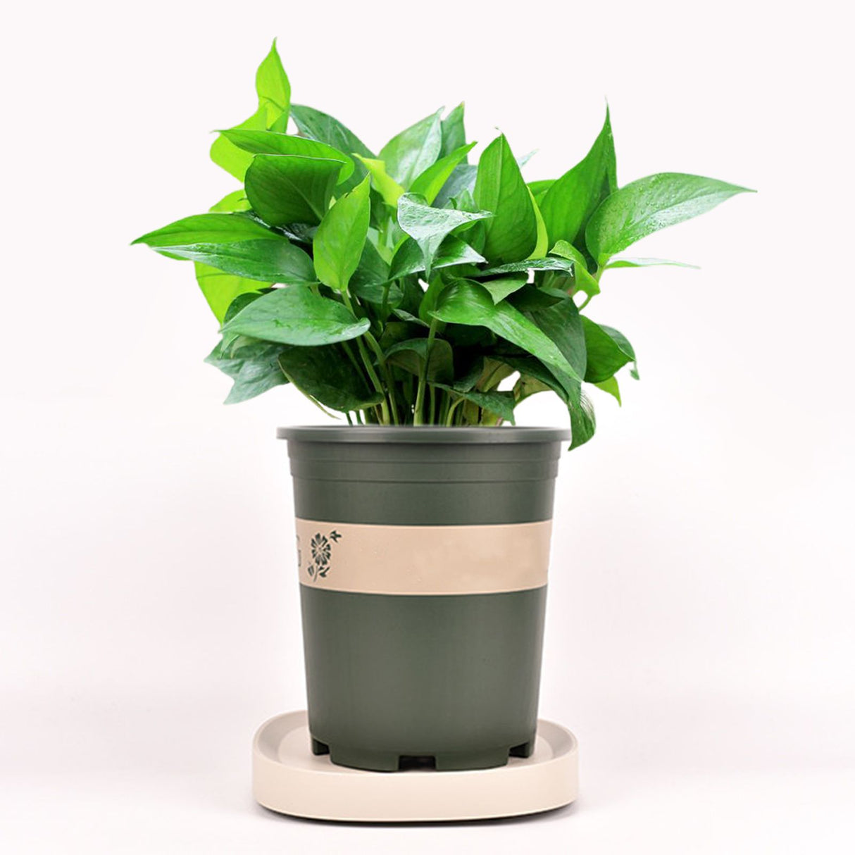 Mobile Flower Pot Tray Durable Wheels Plant Tray Planter Tray with Wheels