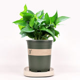 Mobile Flower Pot Tray Durable Wheels Plant Tray Planter Tray with Wheels - Extra Image