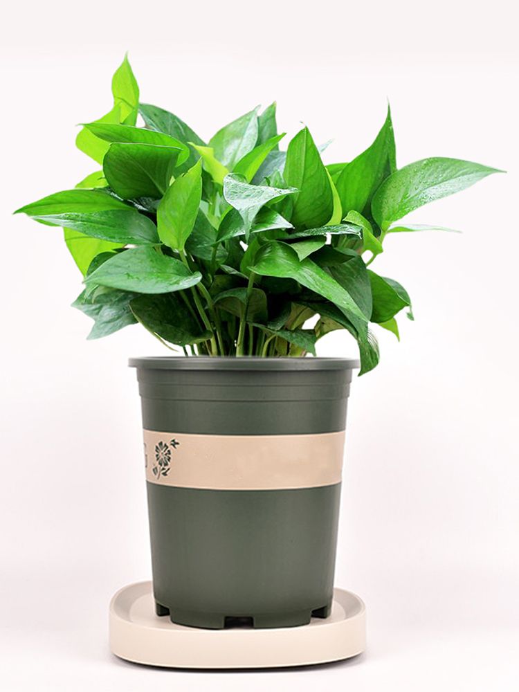 Mobile Flower Pot Tray Durable Wheels Plant Tray Planter Tray with Wheels