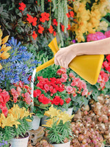 1.5L Creative V Shaped Watering Cans Home Gardening Watering Sprinkler Spray Cans
