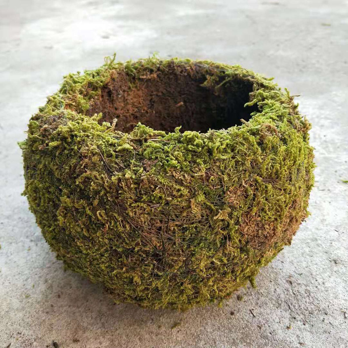 Japanese Style Moss Ball Gardening Potted Plant Moss Flower Pot