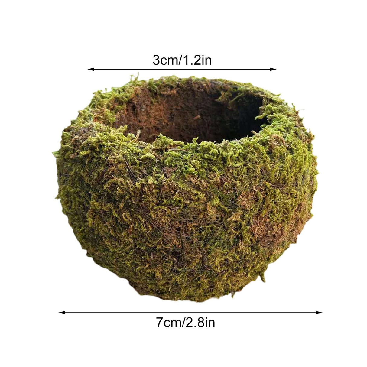 Japanese Style Moss Ball Gardening Potted Plant Moss Flower Pot