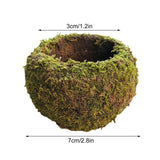 Japanese Style Moss Ball Gardening Potted Plant Moss Flower Pot - Side View