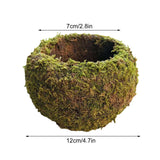 Japanese Style Moss Ball Gardening Potted Plant Moss Flower Pot