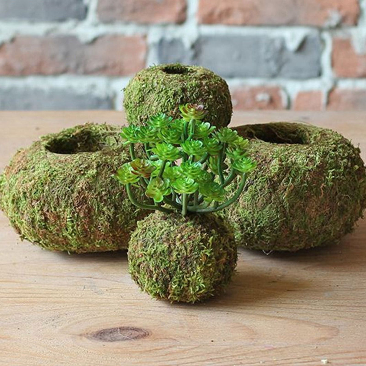 Japanese Style Moss Ball Gardening Potted Plant Moss Flower Pot