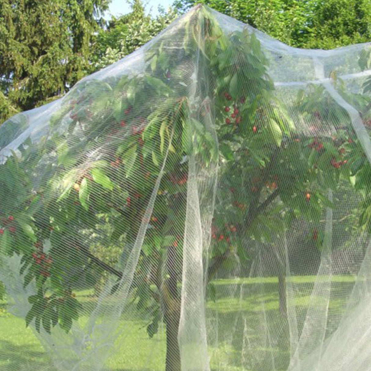 4pcs Tree Insect Barrier Pe Insect Net For Farm Courtyard 1.5 x 1m