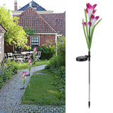 Solar Powered Flower Lights Waterproof Outdoor Solar Garden Stake Lights for Garden Patio BackyardPurple Color