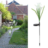 Solar Powered Flower Lights Waterproof Outdoor Solar Garden Stake Lights for Garden Patio BackyardWhite Color