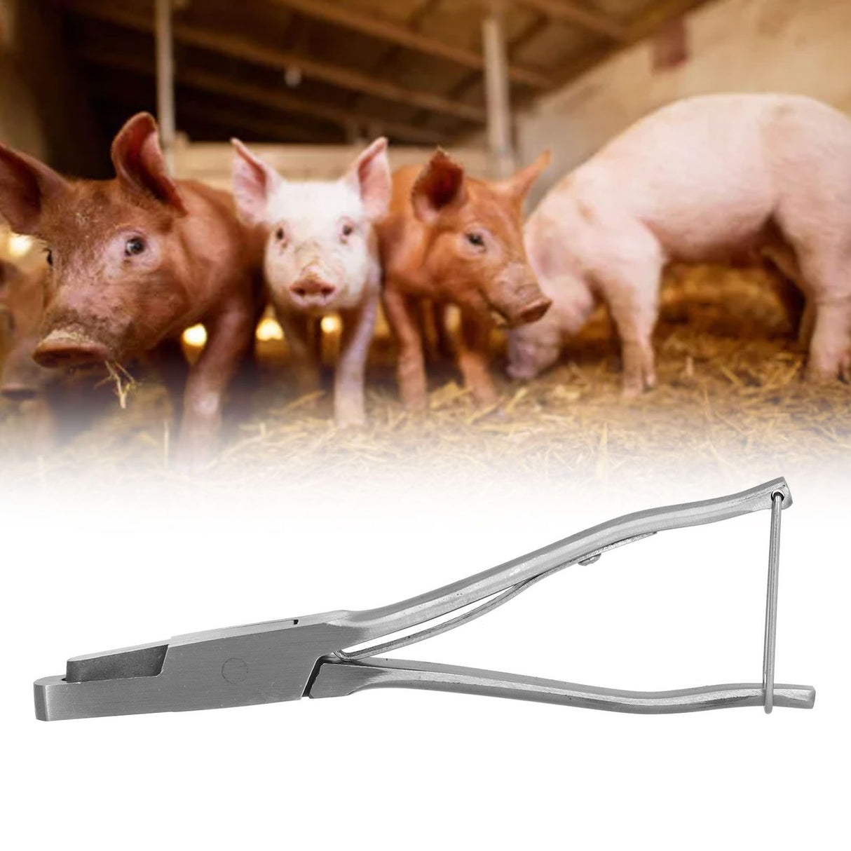 Pig Ear Tag Pliers U Shape Stainless Steel Animal Ear Notcher for Farm Livestock Equipment