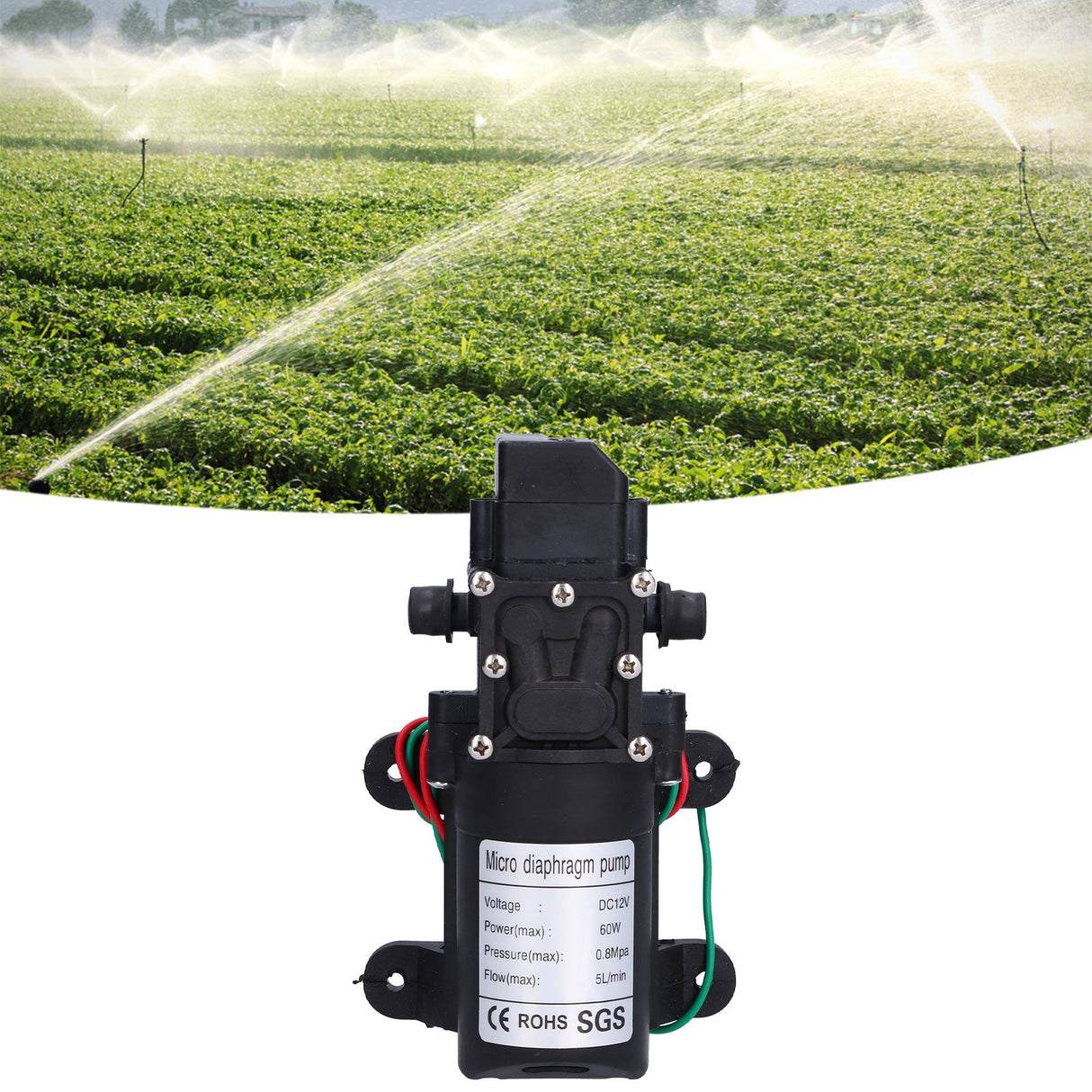 12V Water Pressure Diaphragm Pump 60W Self Priming Booster Sprayer Pump for Garden Irrigation Swimming Pools