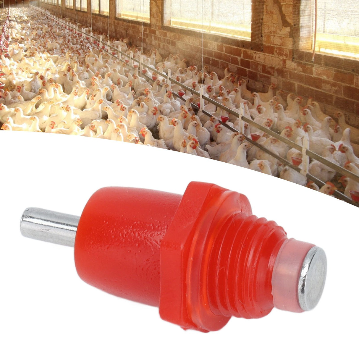100Pcs Automatic Chicken Water Nipple 3 Way Spring Type Poultry Water Drink Waterer Feeder Farming Supplies