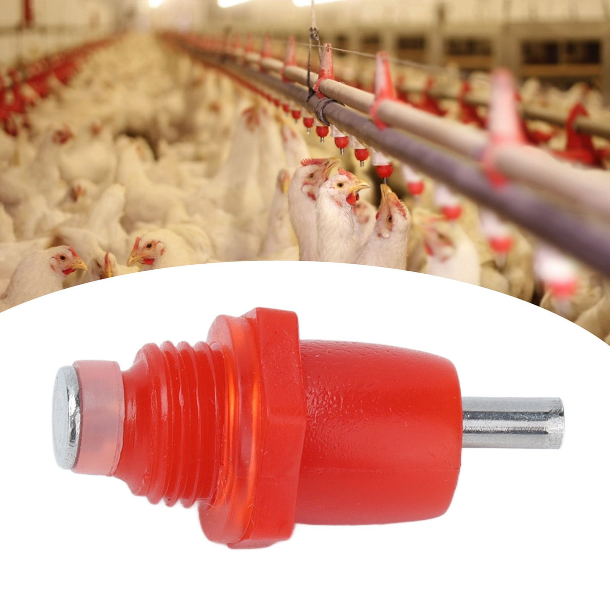 100Pcs Automatic Chicken Water Nipple 3 Way Spring Type Poultry Water Drink Waterer Feeder Farming Supplies