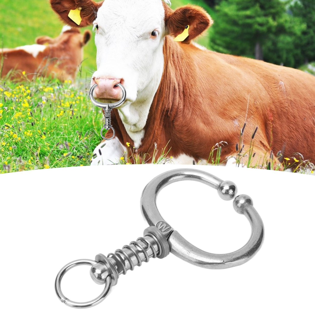 Cattle Nose Ring Stainless Steel Cattle Nose Clamp Bull Cow W Spring Nose Ring for FarmM