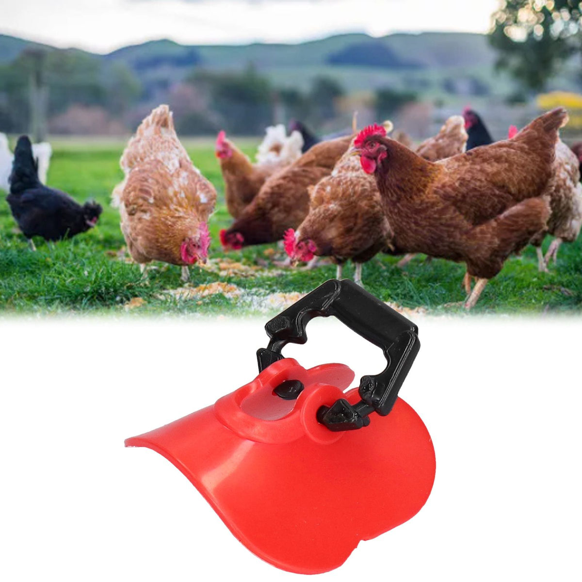 100Set Chicken Eye Glasses with Plugs Anti Pecking Chicken Peeper Blinders Poultry Farm EquipmentM
