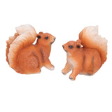 1 Pair Squirrel Resin Figurines Miniature Squirrel Animals Statue Sculpture Ornament for Garden Lawn Decoration - Top-Down View