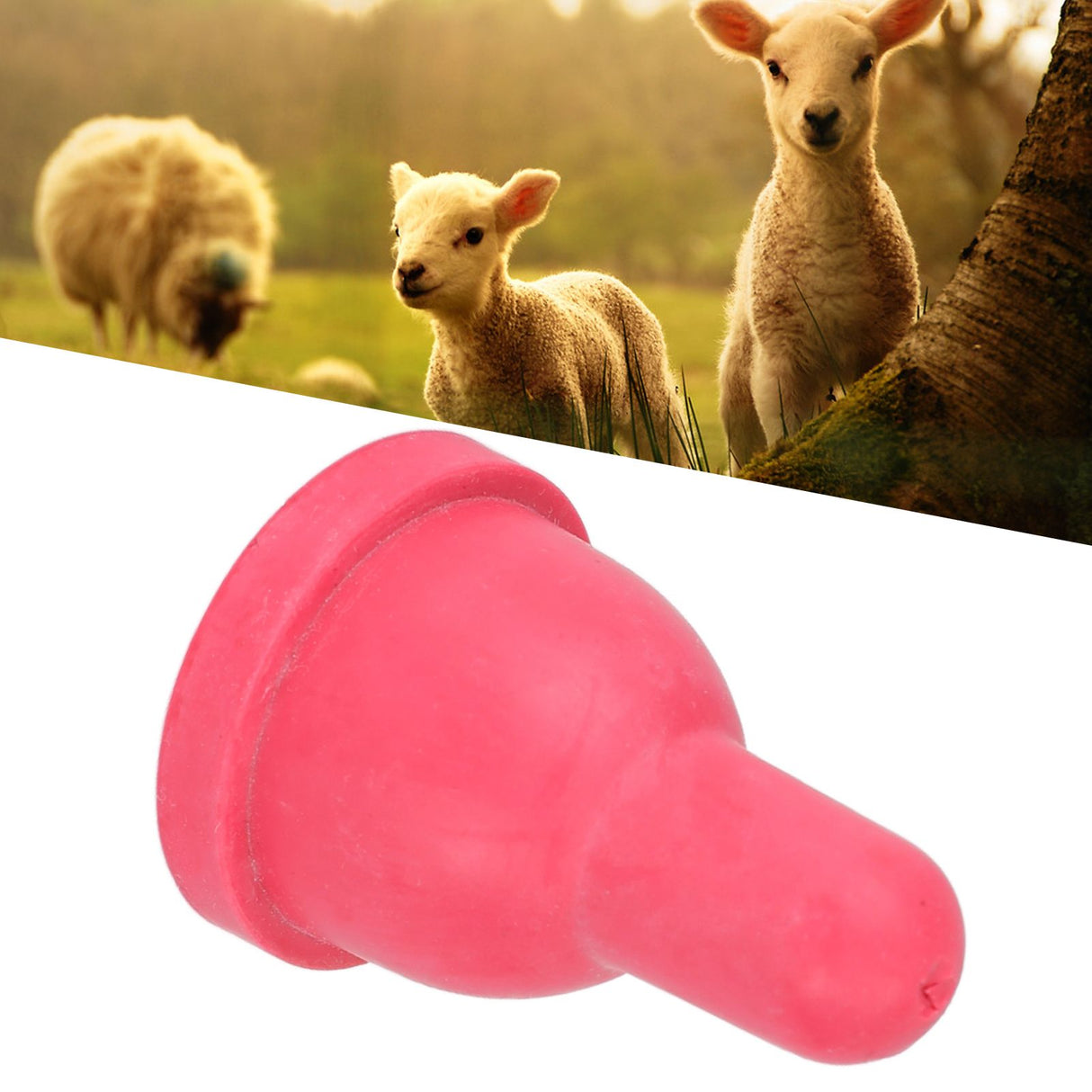 1Set Livestock Pacifier Milk Feed Bucket Pacifier Milk Drink Nipple with Valve Farm Animal Feeding Supplies(MP77+MP76A Lamb Use )