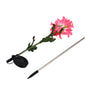 Solar Garden Decorations Automatic Charging Waterproof Durable LED Solar Decorative LightsRed
