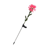 Solar Garden Decorations Automatic Charging Waterproof Durable LED Solar Decorative LightsRed