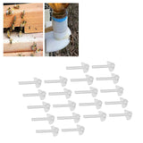 20Pcs Bee Water Feeder Duck Bill Durable Material Use Safety Convenient Large Accommodation Space Bee Keeping Tools