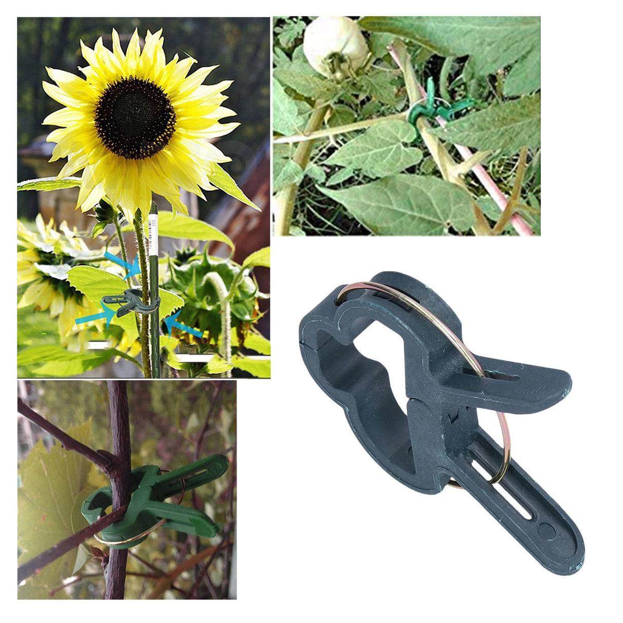 100PCS Plant Support Clip Plant Clamp Garden Binding Clip Grafting Tools for GreenhouseS
