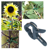 100PCS Plant Support Clip Plant Clamp Garden Binding Clip Grafting Tools for GreenhouseS - Extra Image