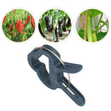 100PCS Plant Support Clip Plant Clamp Garden Binding Clip Grafting Tools for GreenhouseS