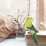 Artificial Bird Environmental Friendly Fine Workmanship Fine Carving Synthetic Resin Bird Simulator