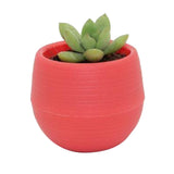 Succulent Pot Mini Seedling Flower Container Plastic Flower Pot for Garden Courtyard BalconyWine Red