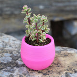 Succulent Pot Mini Seedling Flower Container Plastic Flower Pot for Garden Courtyard BalconyRose Red - Front View