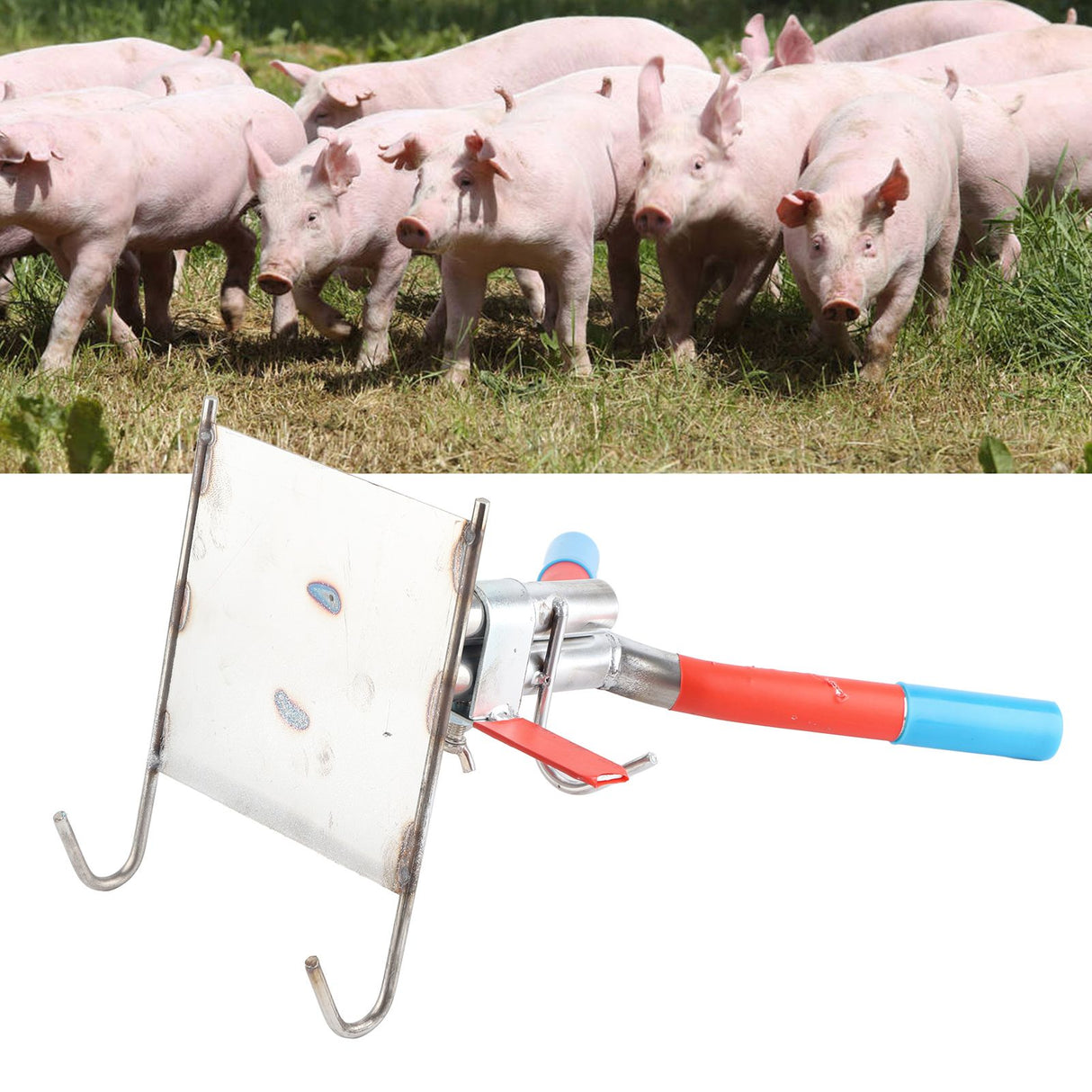 Pig Castration Rack Tools Double Hook Suspension Stainless Steel Simple Convenient Operation Pig Castration Frame