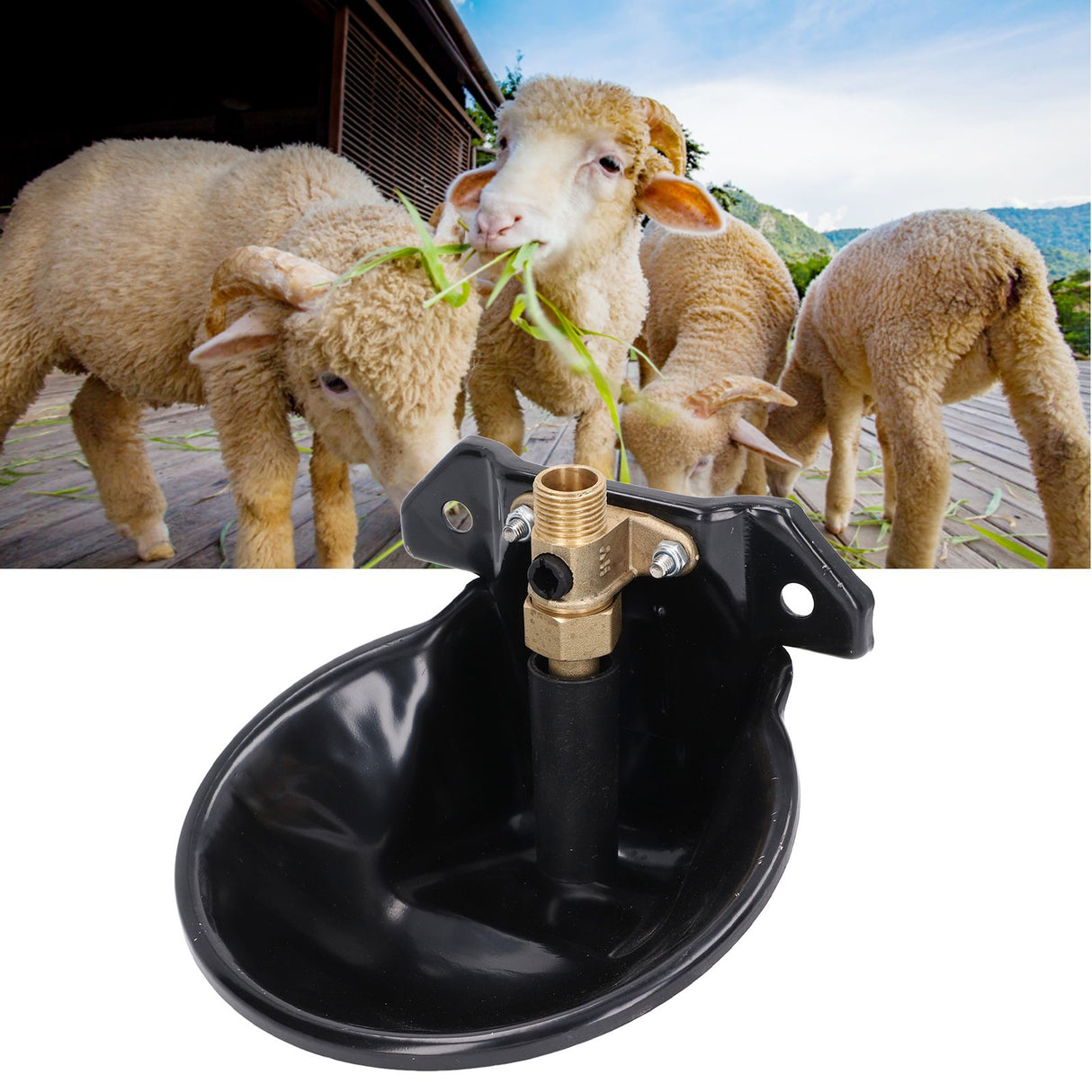 Sheep Water Bowl Stainless Steel Copper Valve Touch Switch Thickened Automatic Goats Drinking Waterer for Farm