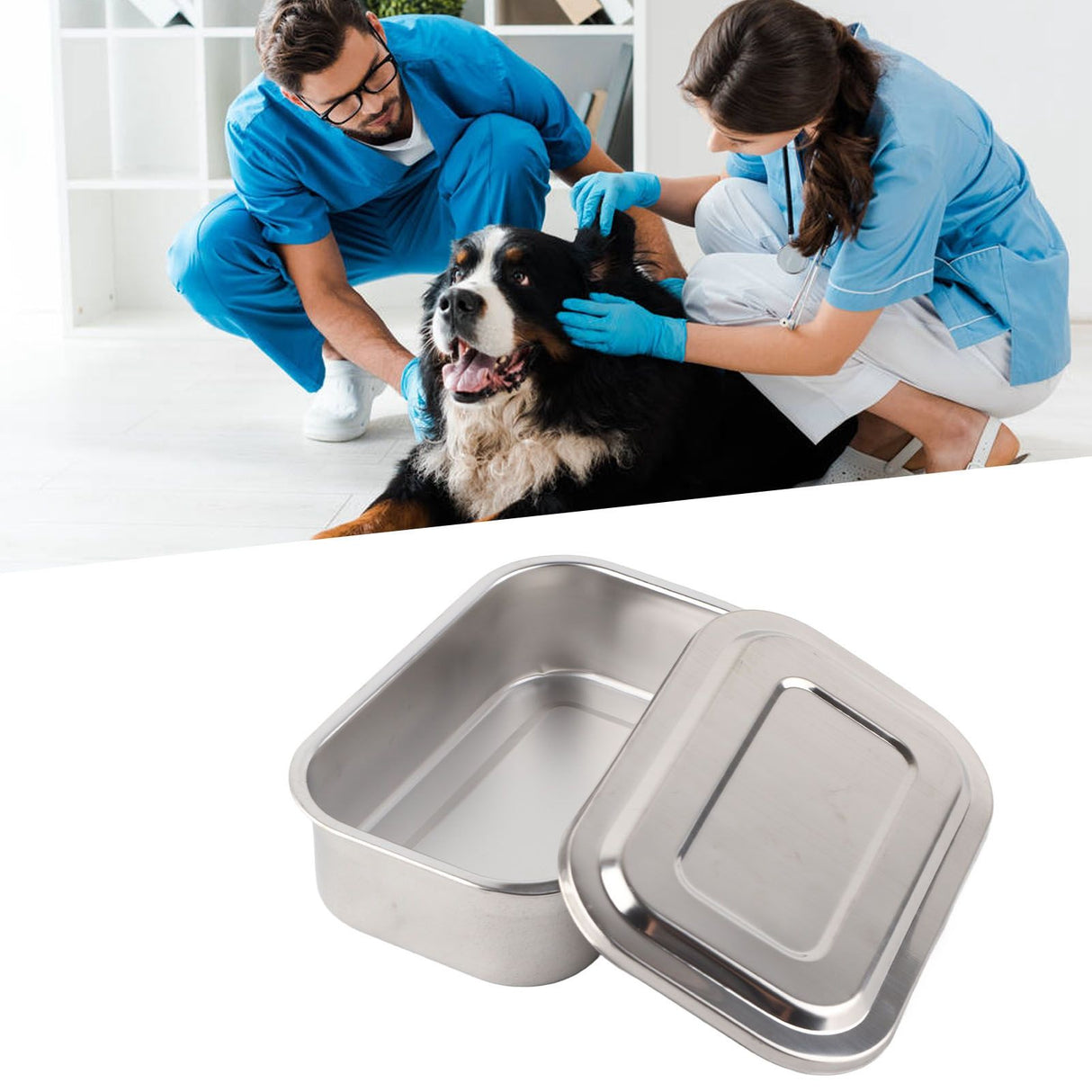 Stainless Steel Needle Box Veterinary Needle Cooking Needle Box Acupuncture Box Veterinary Supplies Equipment