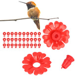 30 Set Hummingbird Feeder Flowers Hanging Bird Feeding Ports Replacement Parts Garden SuppliesRed