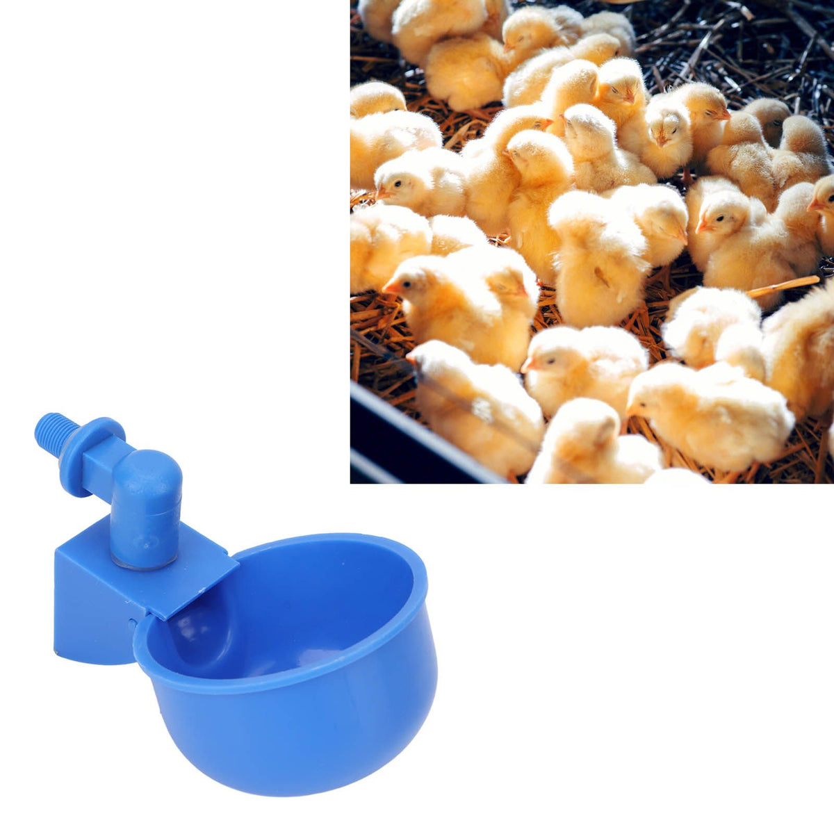 5Pcs Automatic Chicken Water Cups PP Plastic Poultry Waterer Kit for Pigeons G1/8 Male Thread