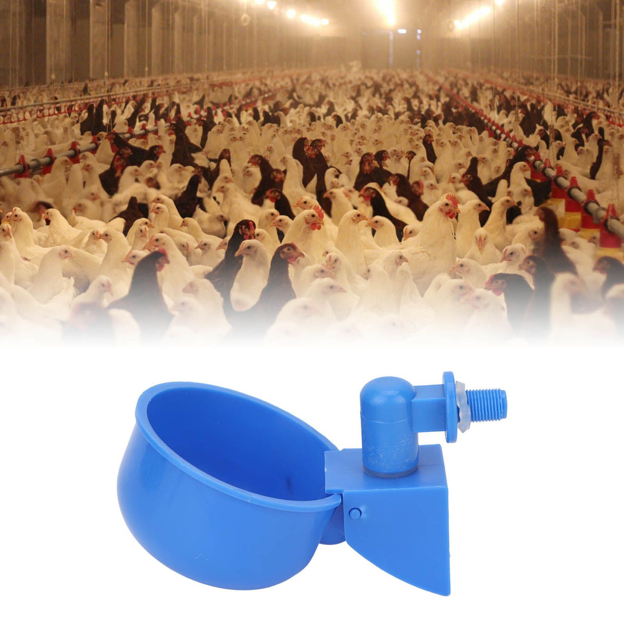 5Pcs Automatic Chicken Water Cups PP Plastic Poultry Waterer Kit for Pigeons G1/8 Male Thread