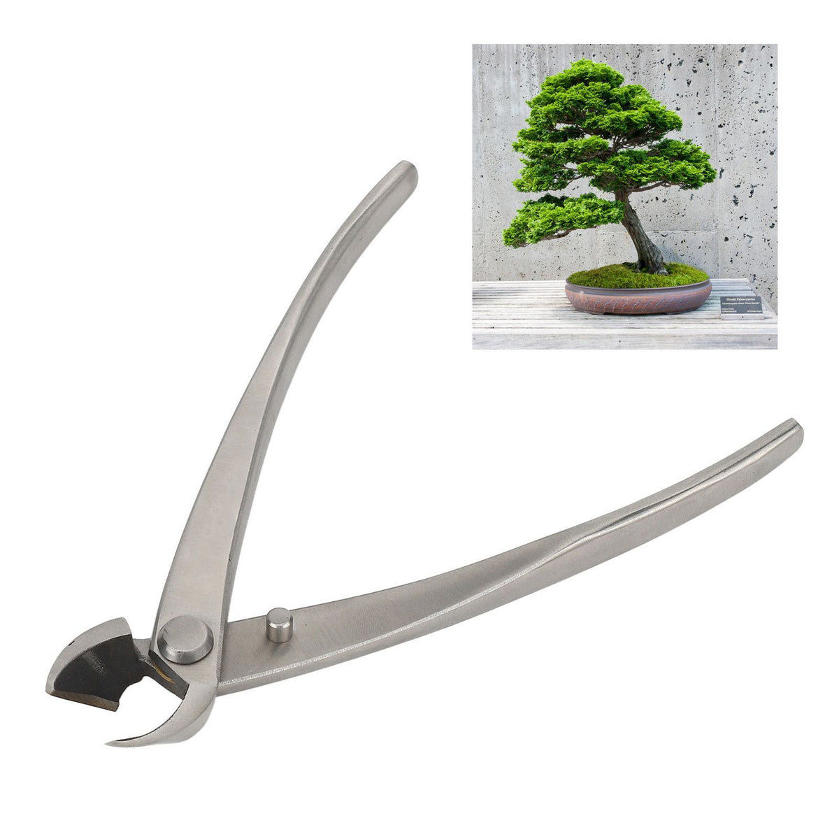 Bonsai Scissors 165mm Stainless Steel Scissors with Ergonomic Handle for Bonsai Modeling Flower Flower Arrangement