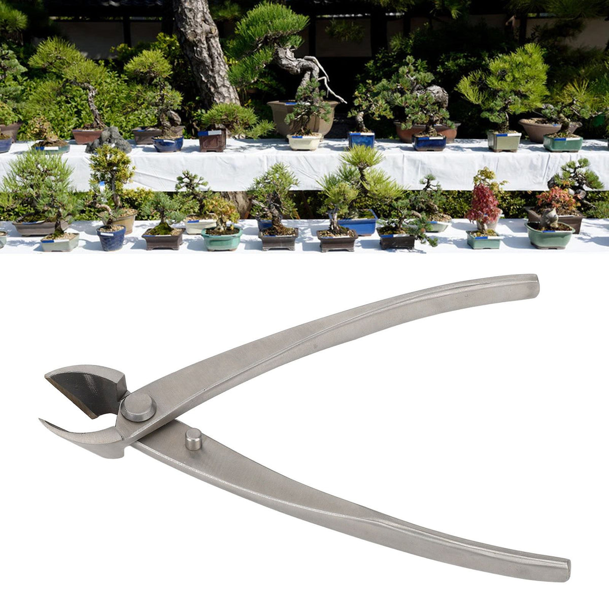 Bonsai Scissors 165mm Stainless Steel Scissors with Ergonomic Handle for Bonsai Modeling Flower Flower Arrangement