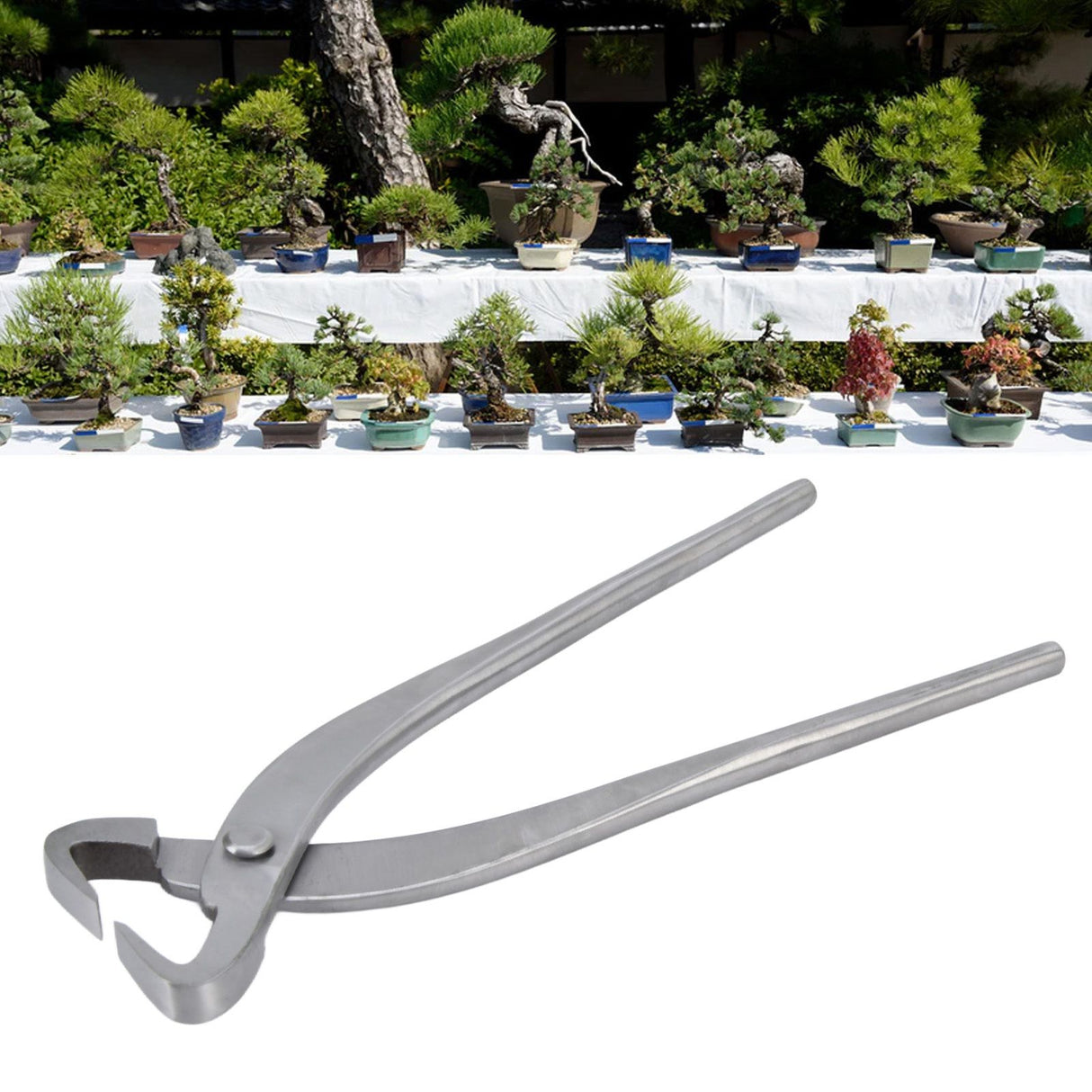 Branch Cutter 210mm Profession Portable Stainless Steel Bonsai Scissors with Ergonomic Handle for Bonsai Modeling Garden