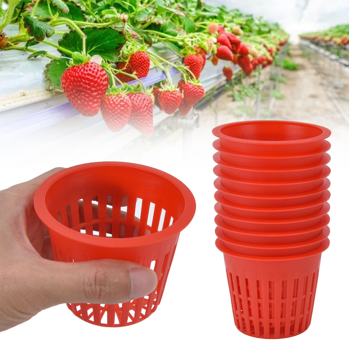 10PCS Planting Basket Plant Cultivation Basket Plastic Hydroponic Planting Mesh Cup for Garden