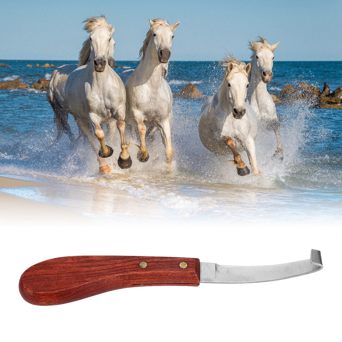 Horse Hoof Knife Hoof Trimming Tool with Wooden Handle Stainless Steel Blade for Farm Single Edged Right Hand