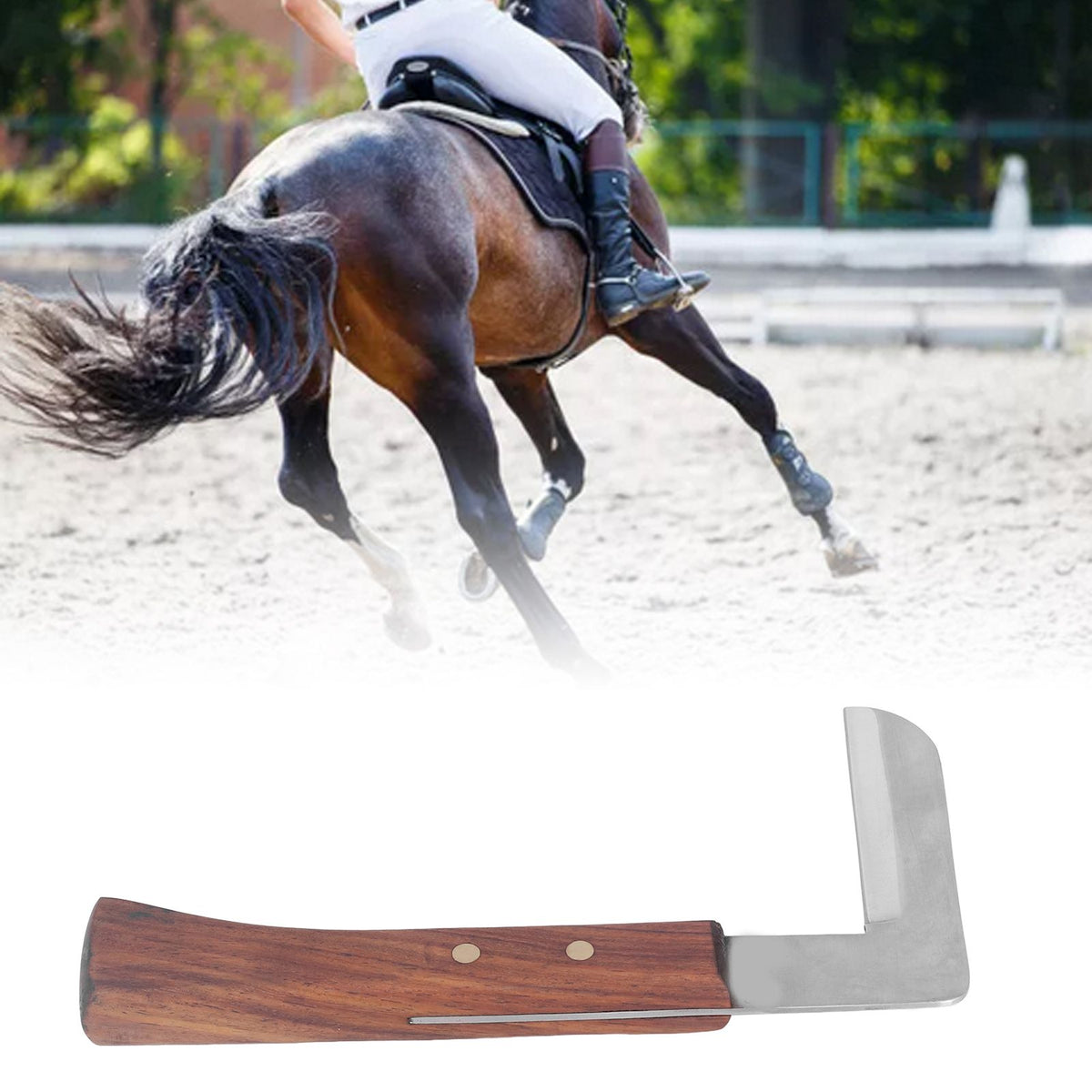 Steel L Shape Hoof Knife Ergonomic Curved Handle Hoof Trimming Tool for Farm Horse Single Blade On Right Hand