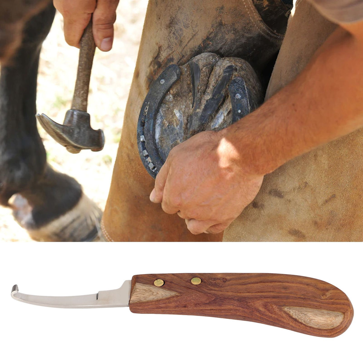 Steel Hoof Knife with Wooden Handle Pointed Cattle Livestock Hand Hoof Trimming Tool for FarmRight Hand